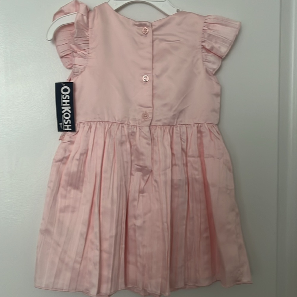 Pink Toddler Flutter Pleated Dress - Picture 5 of 5